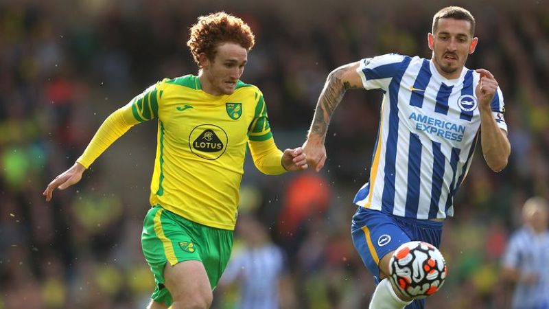 Nhận định soi kèo Norwich City vs Brighton lúc 22h00 ngày 11/01/2025